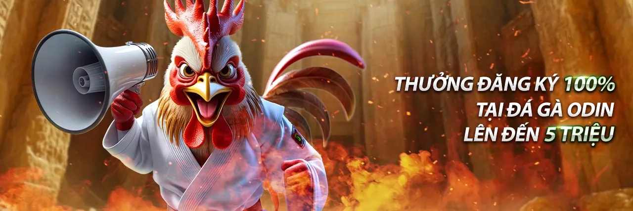 Đá Gà W88 - Sân Đấu Kịch Tính Trực Tuyến