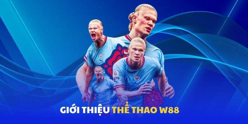 Thông tin về thể thao W88